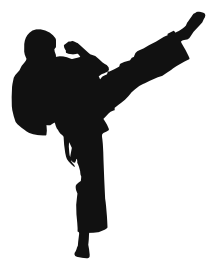 A Good Kickers (martial arts movie)