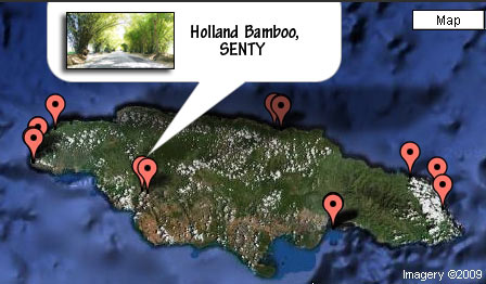 TJL's Official Guide to Jamaican Place Names TJL’s Official Guide to Jamaican Place Names