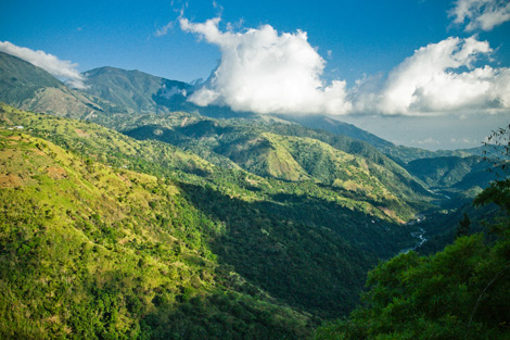 Jamaica Land to Love