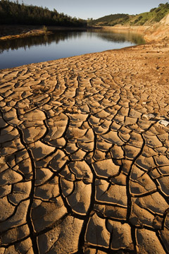 Seven Sure Signs that Jamaica is Suffering from a Severe Drought