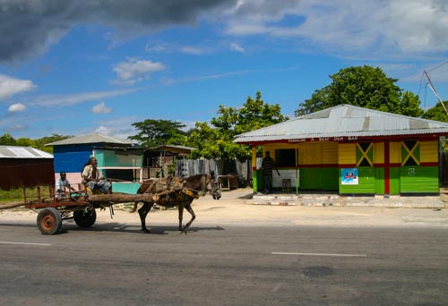 Tips on How to Live/Survive in Jamaica