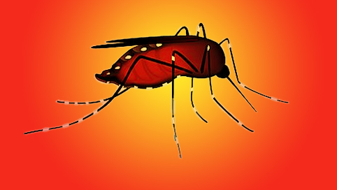 10 Signs that Jamaica is Suffering from a Serious Outbreak of Chikungunya 10 Signs that Jamaica is Suffering from a Serious Outbreak of Chikungunya