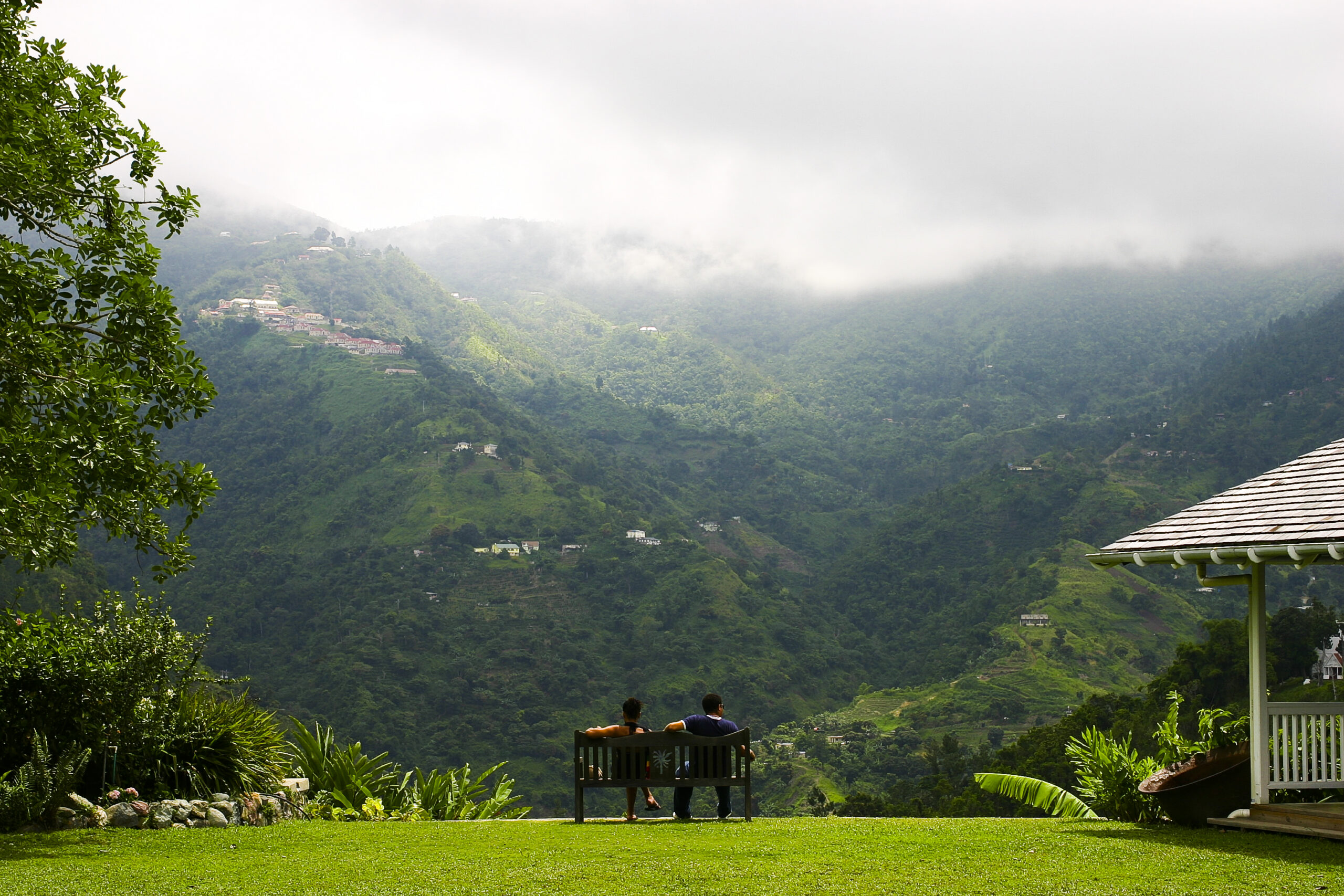 Blue Mountains Jamaica